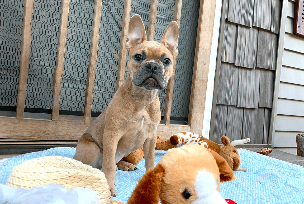 Frenchton Caleb