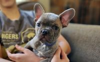 Acorn at 9 weeks