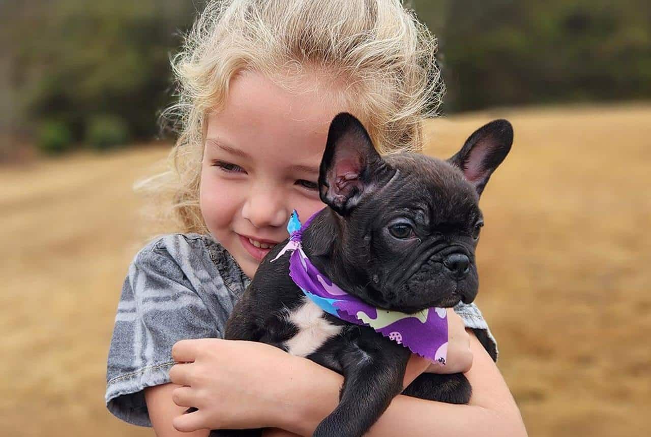 Are Frenchtons Good with Kids