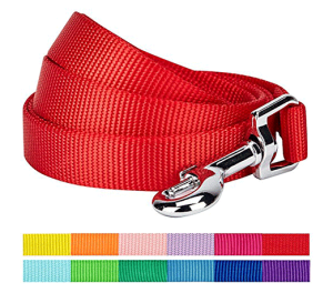 Dog Leashes