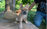 Frenchton Caleb